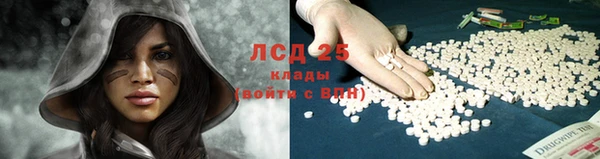 тгк Покров