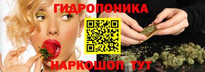 дмт Аргун