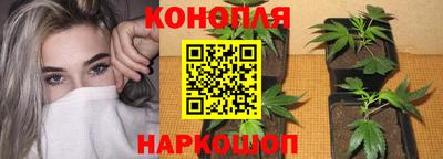 дживик Гагарин