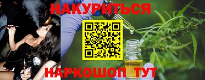 дмт Аргун