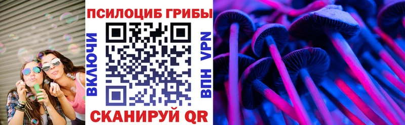Псилоцибиновые грибы GOLDEN TEACHER  Курчалой 