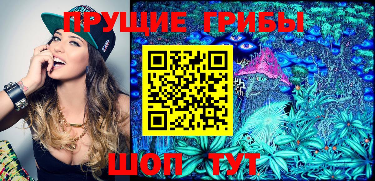 Курчалой  даркнет сайт  Вход с VPN  Галлюциногенные грибы Psilocybine cubensis  Псилоцибиновые грибы Psilocybine cubensis 