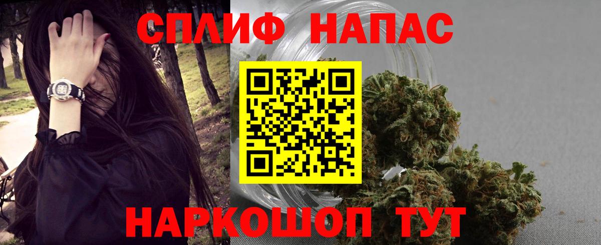 Курчалой  Бошки марихуана ГИДРОПОН  Конопля White Widow  Вход с VPN 